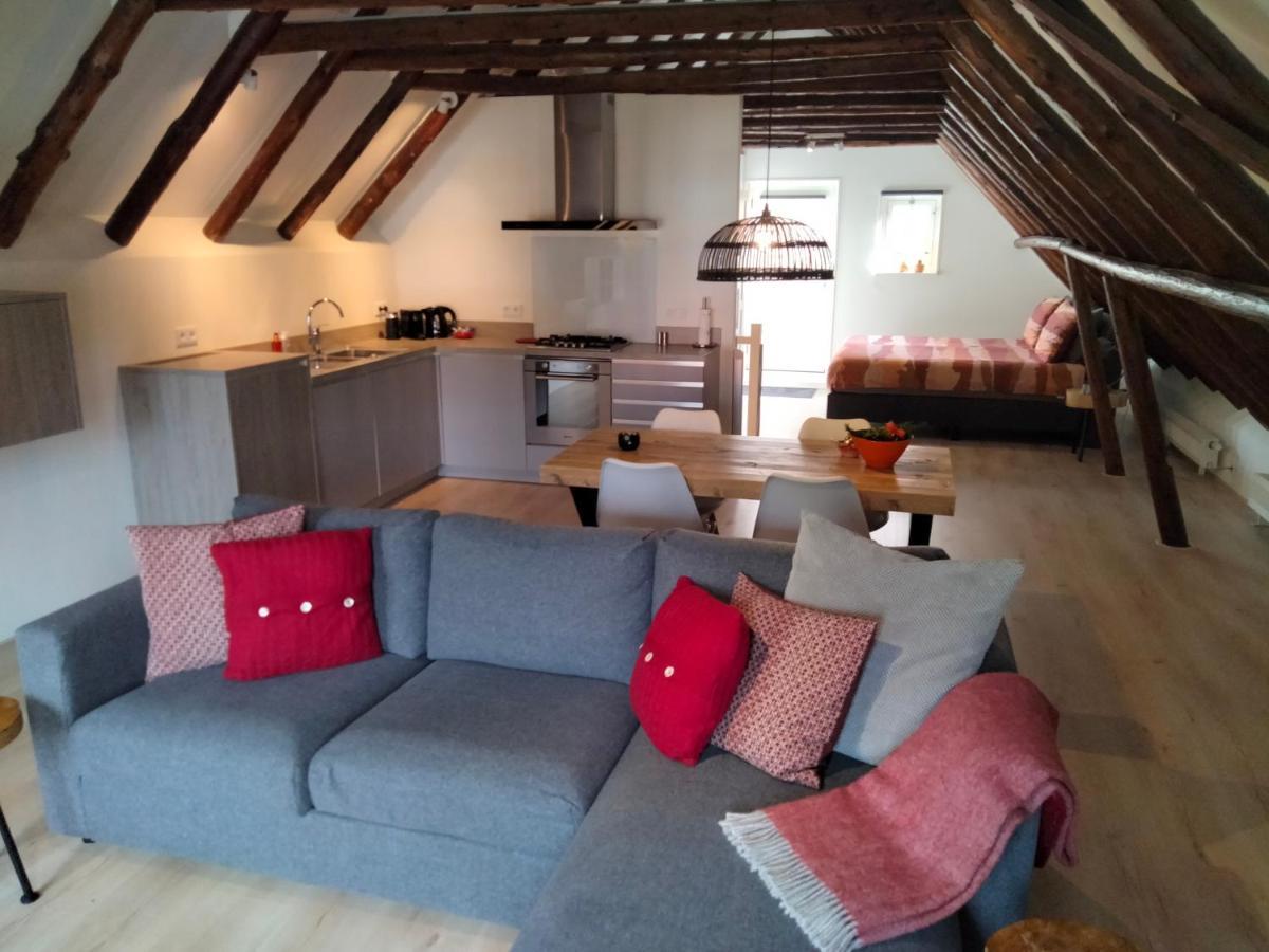 ניואהסחאנס Appartement Badnieuweschans מראה חיצוני תמונה